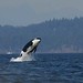 Debra Dickson Photo 30