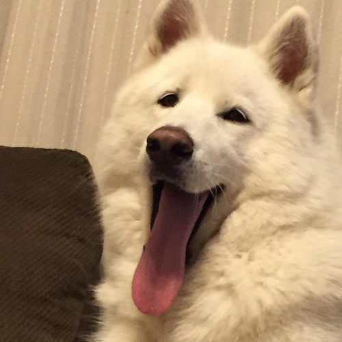 David Conway Photo 14