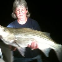 Susan Bodine Photo 9