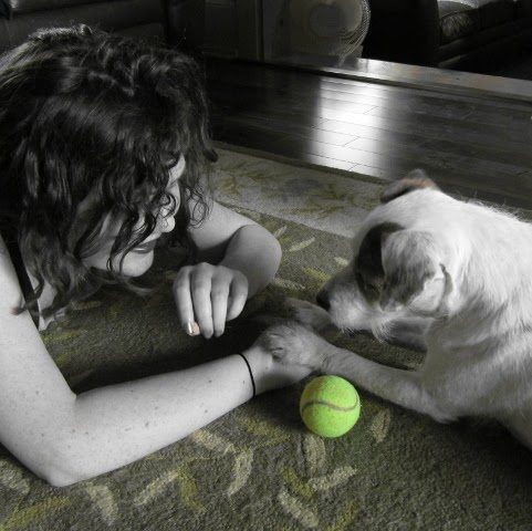 Shawn Bauer Photo 37