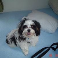 Debbie Stapleton Photo 18