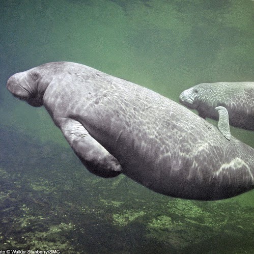 Catherine Fritz Photo 10