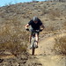Jon Severson Photo 8