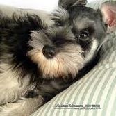Danielle Batres Photo 6