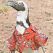 Christian Wagner Photo 42