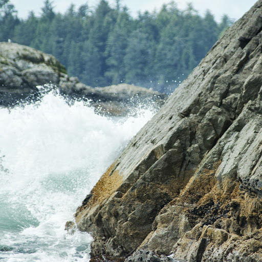 Annette Holzman Photo 2