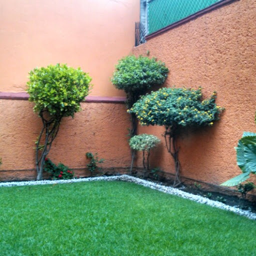 Adriana Villalobos Photo 6