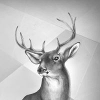 Peter Shearer Photo 20