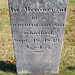Carey Johnson Photo 36