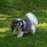 Gary Colclasure Photo 5