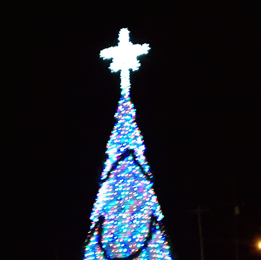 Tim Robison Photo 37