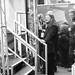 Richard Herring Photo 34