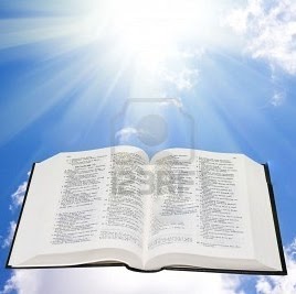 Sandra Carcamo Photo 17