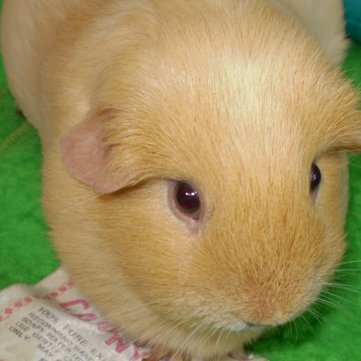 Jodie Myers Photo 24