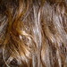 Colleen Matter Photo 16