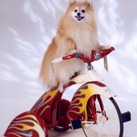 Shawn Newland Photo 21