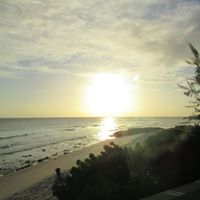 Shannon Rowe Photo 39