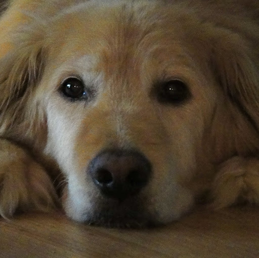 Gregg Adams Photo 23 Gregg Adams Photo 23