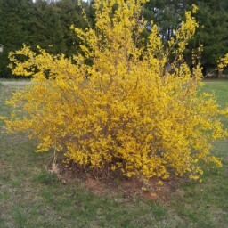 Judy Cooper Photo 17