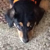 Jerry Hobbs Photo 40