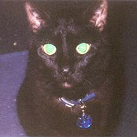 Cindy Albright Photo 29