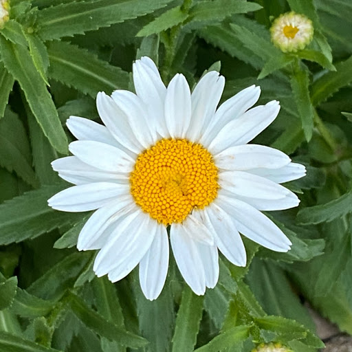 Kathryn Beck Photo 33 Kathryn Beck Photo 33