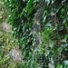 Linda Ashby Photo 15