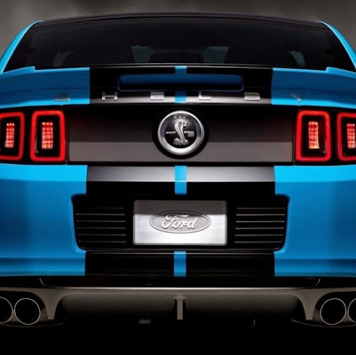 Anthony Tuttle Photo 32