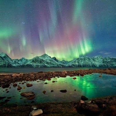 Michael Warden Photo 18 Michael Warden Photo 18