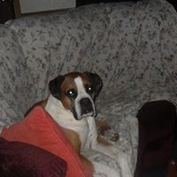 Joan Webster Photo 5