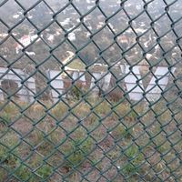 Steven Shuler Photo 10