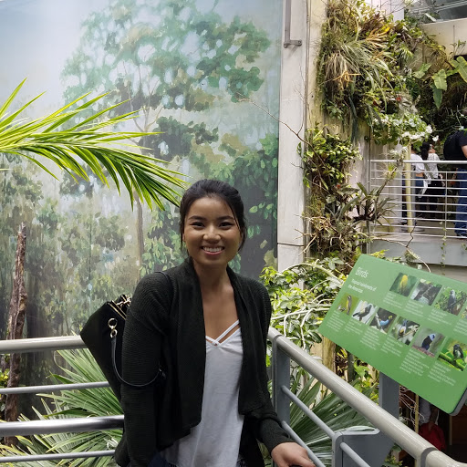 Stephanie Luong Photo 26