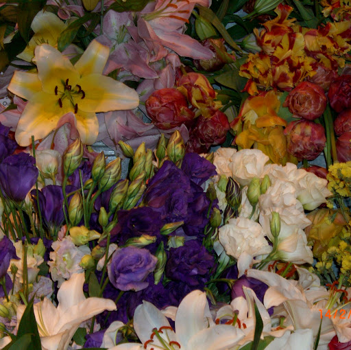 Christine Griffith Photo 16