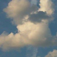 Nancy Merrill Photo 43