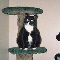 Roberta Moffitt Photo 6