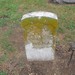 Frances Nickerson Photo 7
