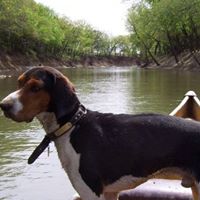 Timothy Funk Photo 14