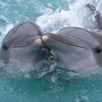 Frances Chaney Photo 15