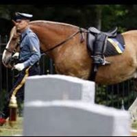 Timothy Mccool Photo 14