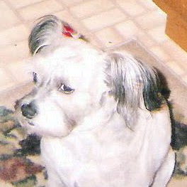 Karen Needham Photo 37