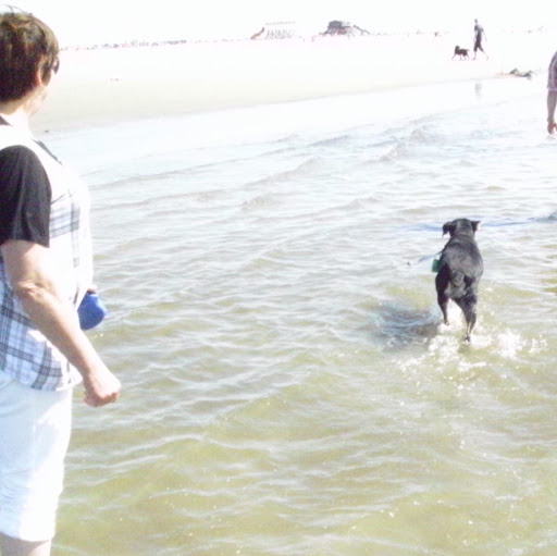 Ingrid Schulz Photo 17