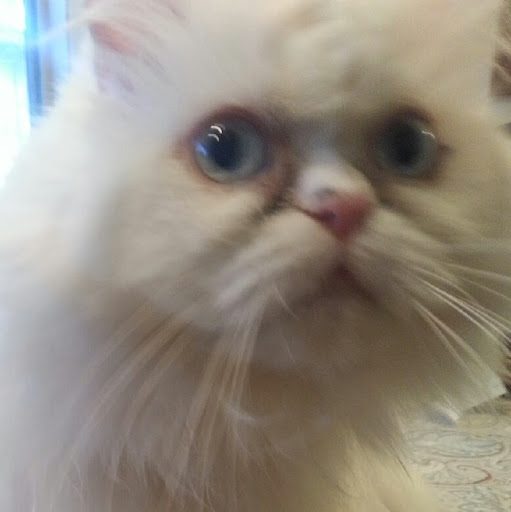 Peter Keating Photo 31 Peter Keating Photo 31