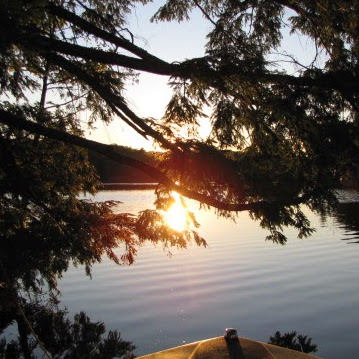 Susan Sadler Photo 22