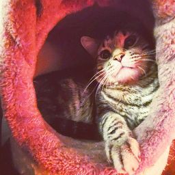 Cynthia Ramos Photo 21