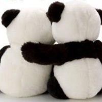 Rebecca Han Photo 24