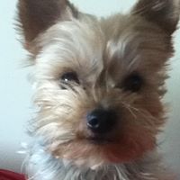Henry Delano Photo 9