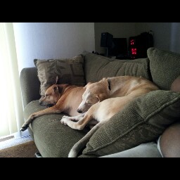 Patrick Barber Photo 45 Patrick Barber Photo 45