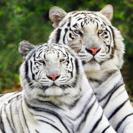 Franklin Mejia Photo 22