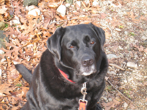 Jennifer Hazen Photo 27 Jennifer Hazen Photo 27