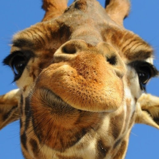 Molly Wolfe Photo 16